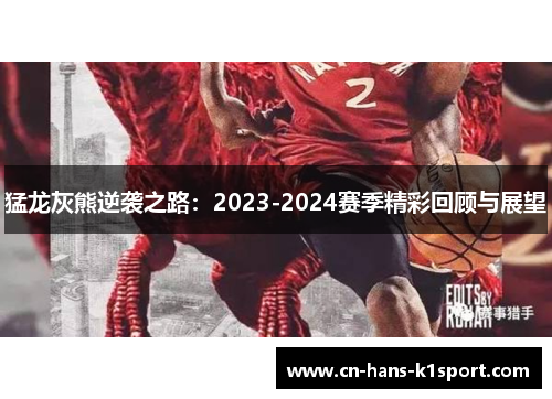 猛龙灰熊逆袭之路：2023-2024赛季精彩回顾与展望
