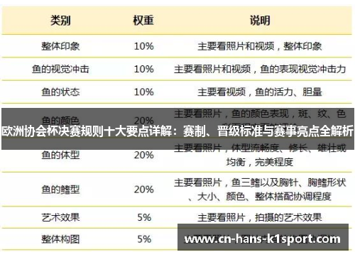 欧洲协会杯决赛规则十大要点详解：赛制、晋级标准与赛事亮点全解析