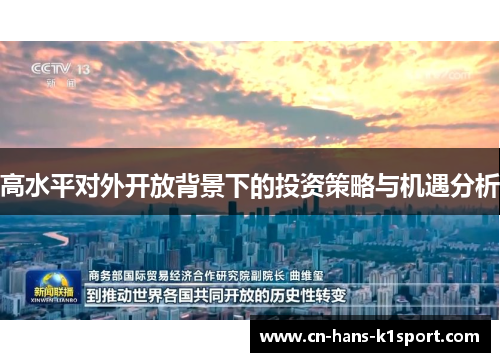 高水平对外开放背景下的投资策略与机遇分析
